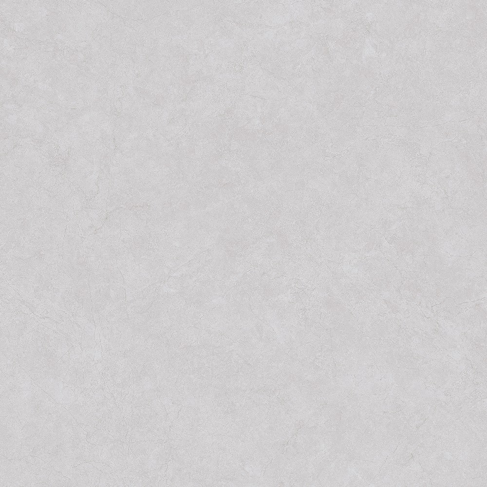FL8256T